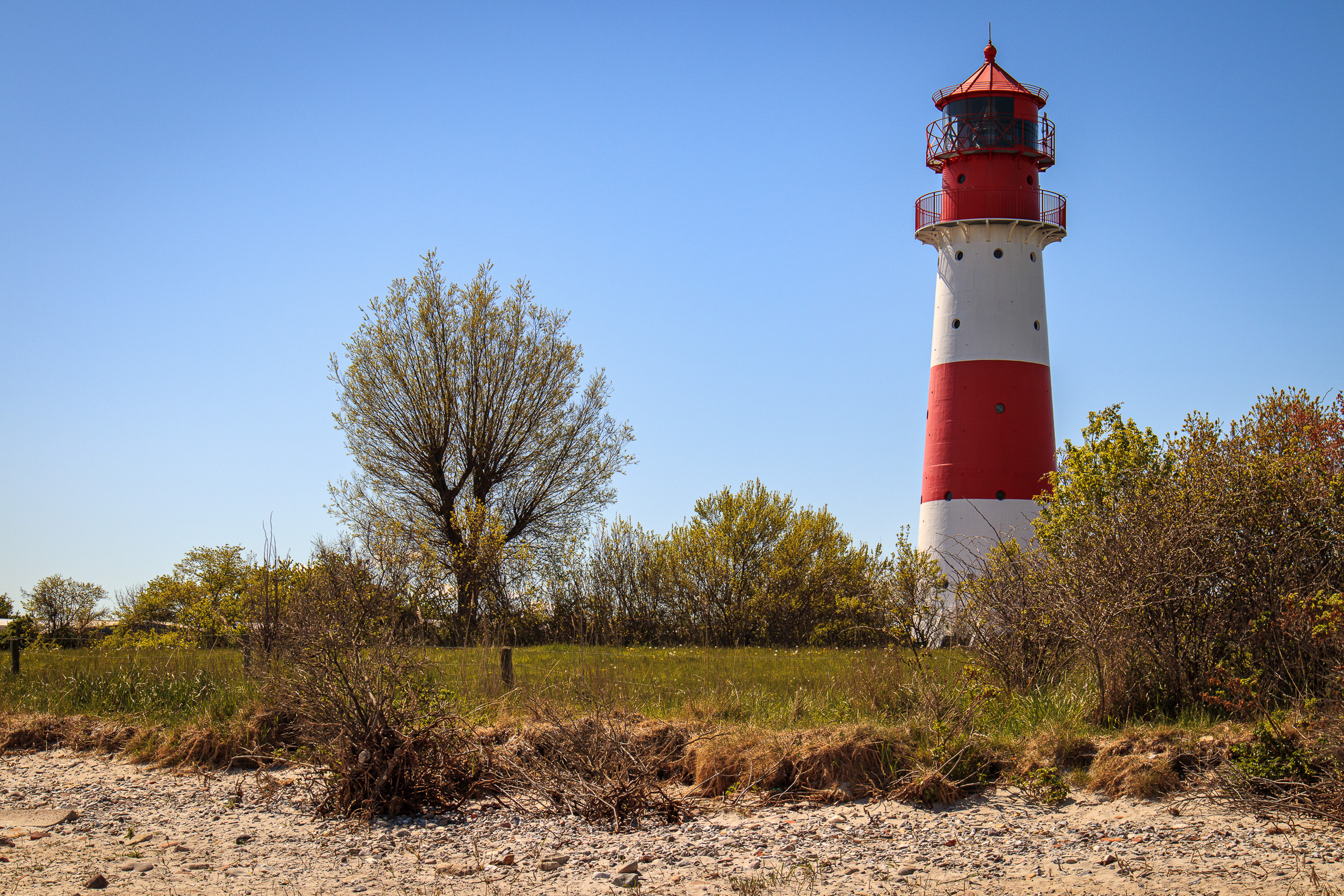 IMG_1044?timestamp=1680259217951